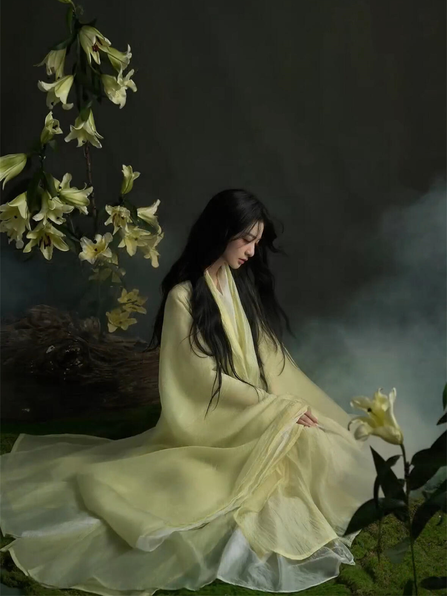 Photography Of War - Elegant Hanfu Photography Costume Whisical Qing