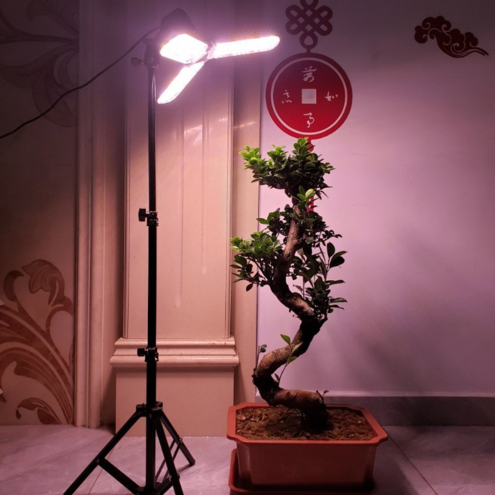 Light Bulb Stand 2M, E27 AC So - Photography Umbrella 评论和价格