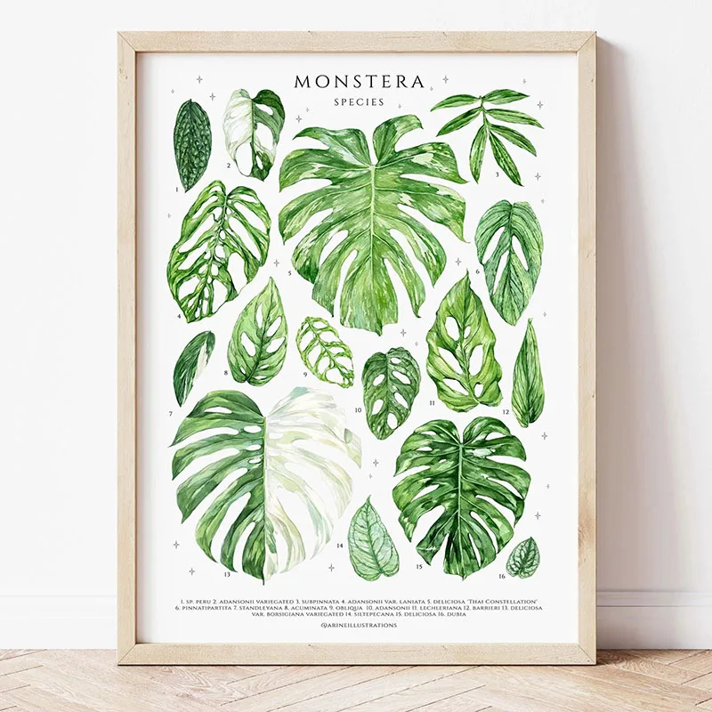 1pc Modern Houseplants Leaves  - Photography Pose 评论和价格