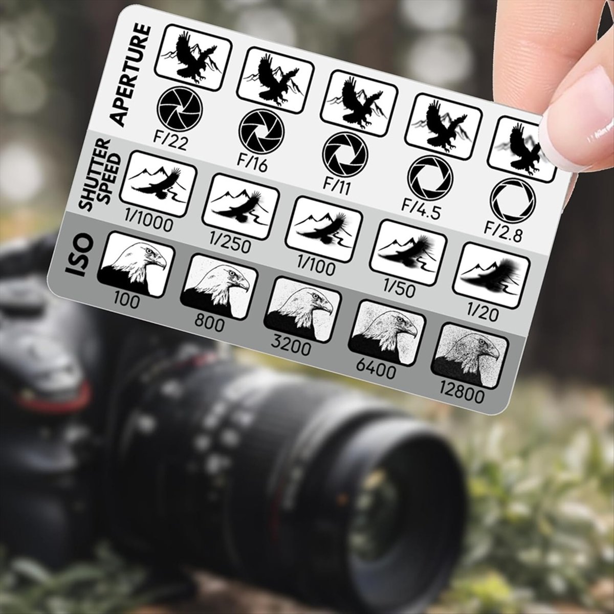 L77A 2Pcs DSLR Photography Com - Photography Triangle 评论和价格