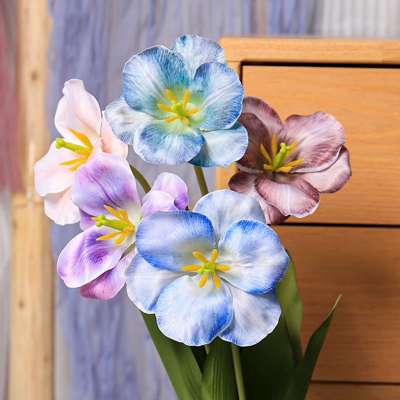 5pc 54cm Flip Tulip Gradient M - Photography Wedding 评论和价格