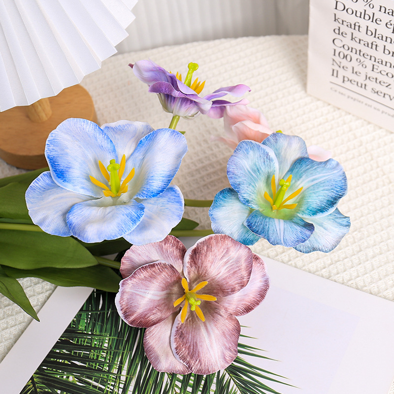 5pc 54cm Flip Tulip Gradient M - Photography Wedding 评论和价格