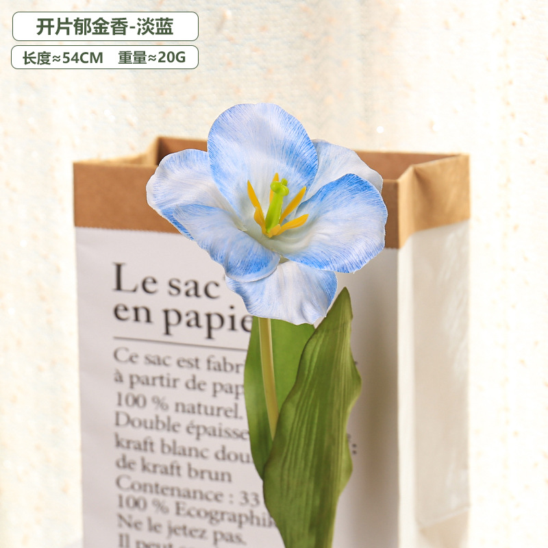 5pc 54cm Flip Tulip Gradient M - Photography Wedding 评论和价格